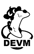 DEVM Games